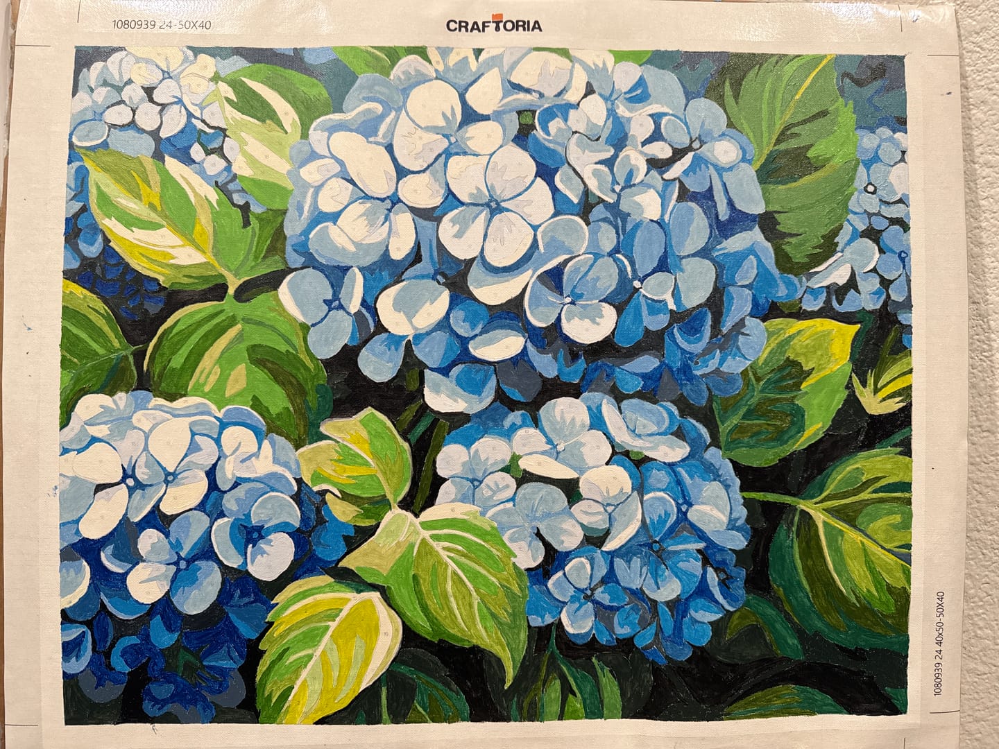 Customer photo review of Clustered Hydrangeas
