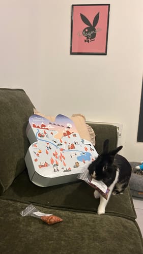 Customer photo review of Calendrier de l’Avent - La Hopbox à CarotteVille