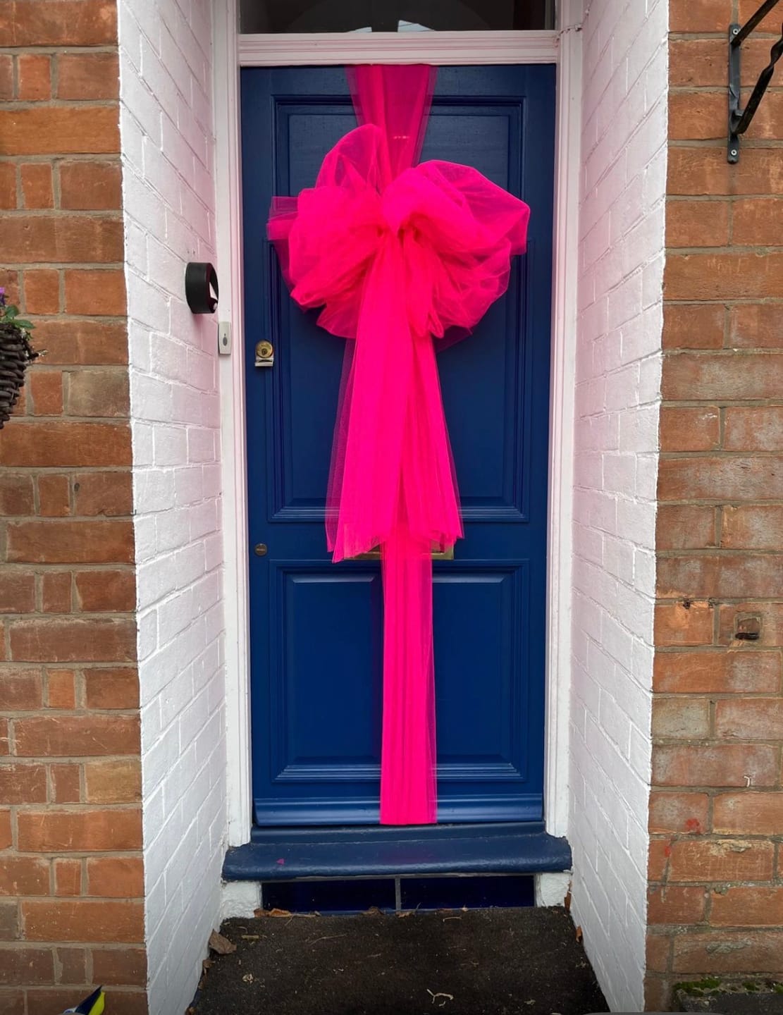 Customer photo review of Plain Dress Net Fabric