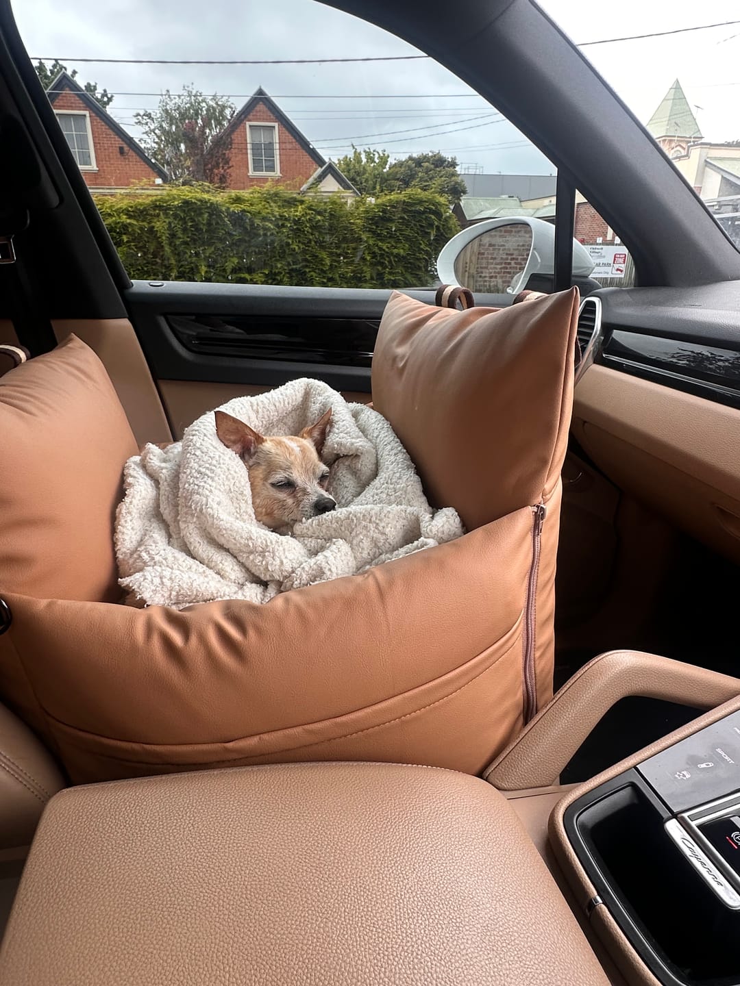 Customer photo review of Boujee Booster