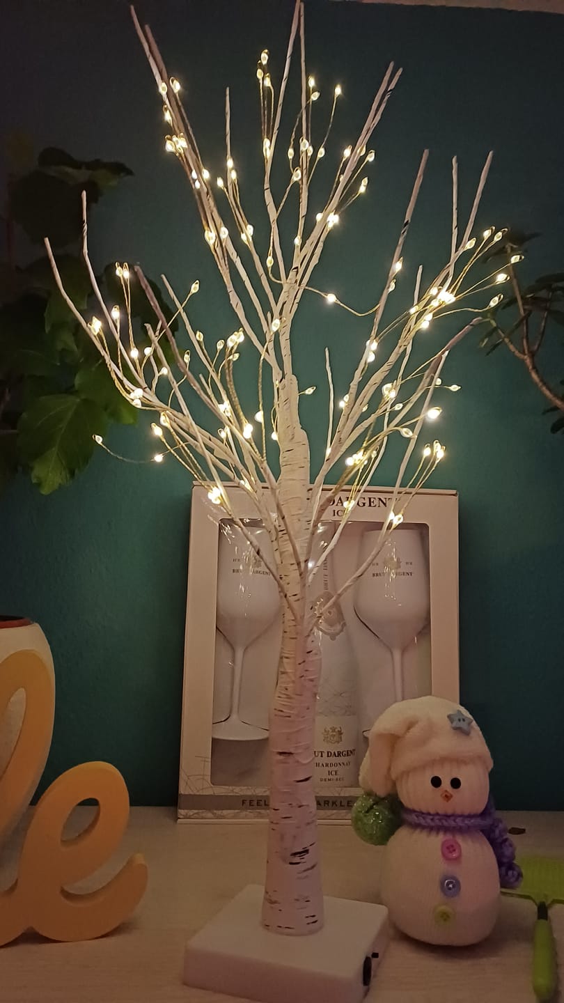 Customer photo review of Bäumlein® - 144 LEDs (Winter Edition)
