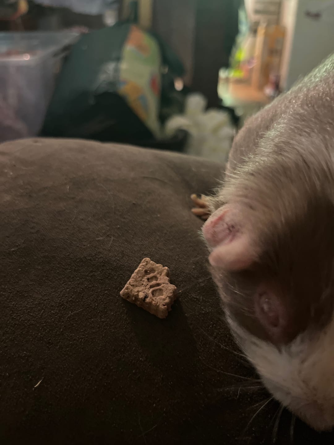Customer photo review of Bunny Nature Crunchy Crackers Mega Bundle
