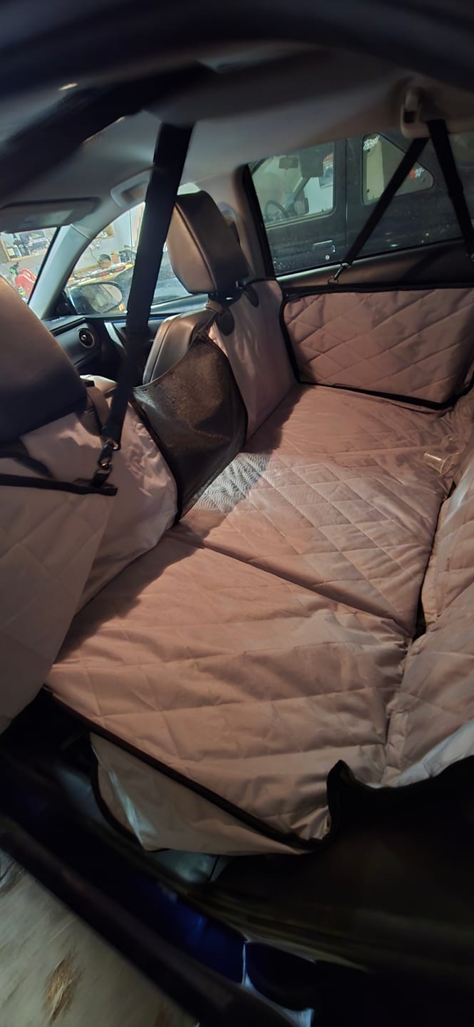 Customer photo review of 4Knines Hard Bottom Extender Car Seat Cover for Dogs - Regular