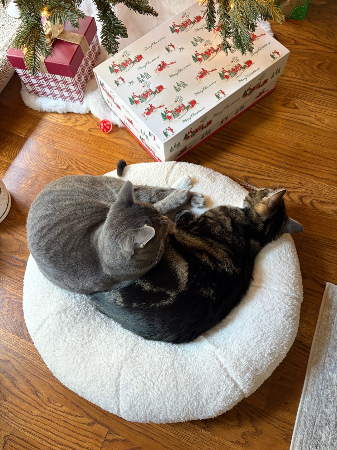 Customer photo review of Marshmallow Pudding Bed