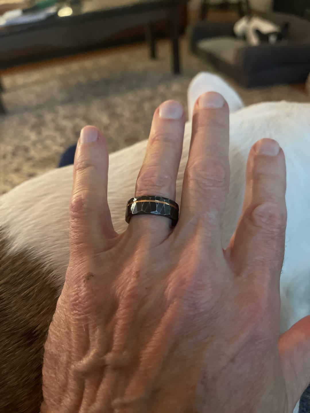 Customer photo review of The Stormlight