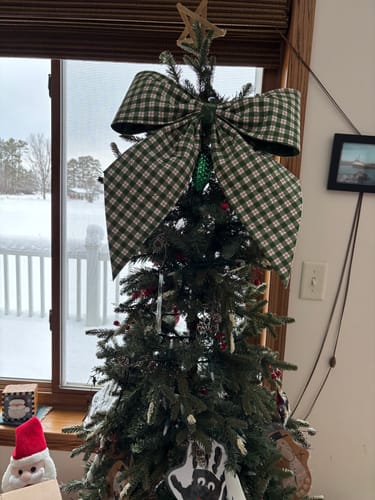 Customer photo review of Vintage Charm Bow - Green Plaid