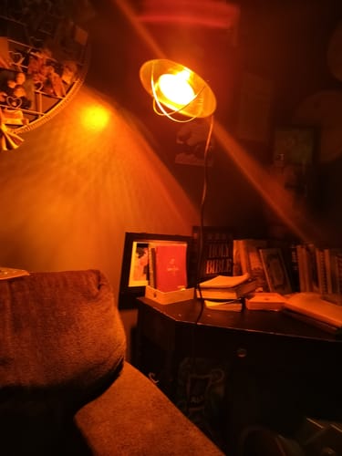 Customer photo review of Red Light Therapy Lamp with Clamp & Bulb Guard