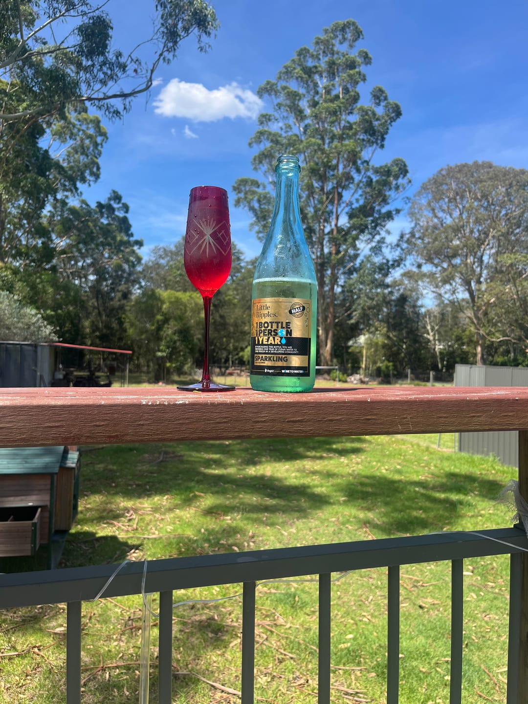 Customer photo review of Sparkling - Single Bottle