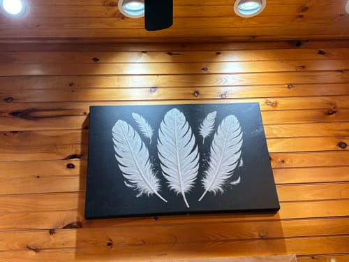 Customer's Minimalist Monochrome Feather Wall Art hanging on a bright, wood-paneled wall under spotlights.