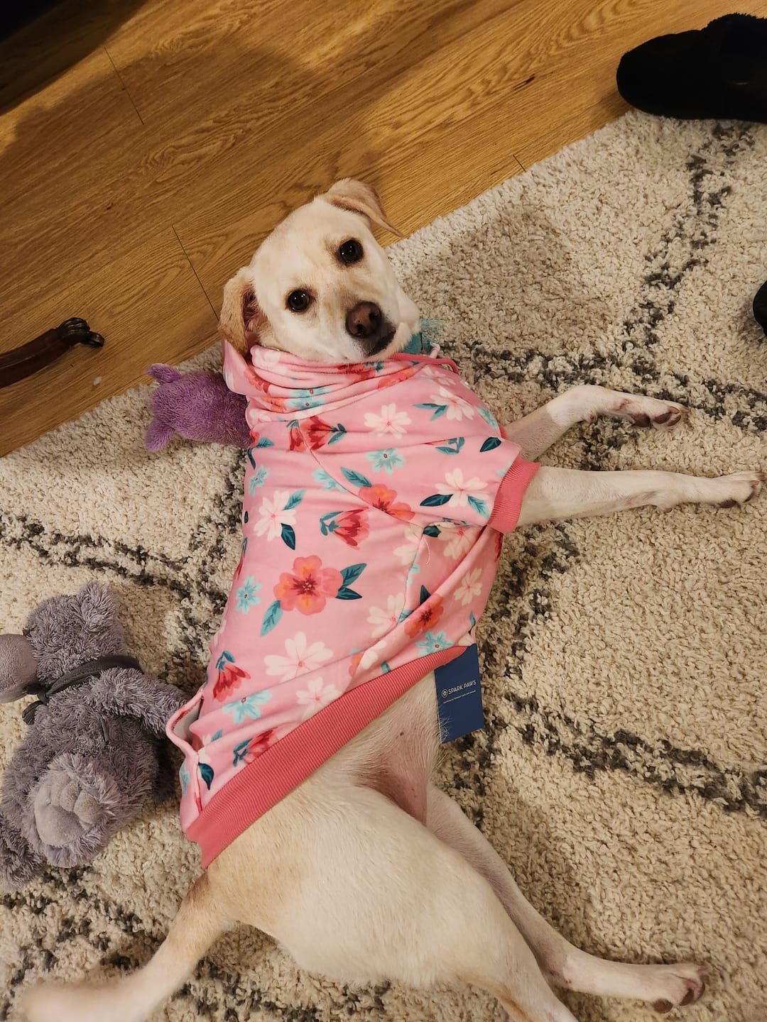 Customer photo review of Blossom Dog Hoodie - Pink