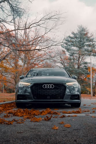 Customer photo review of NORTHBORDERS MEGA PACK