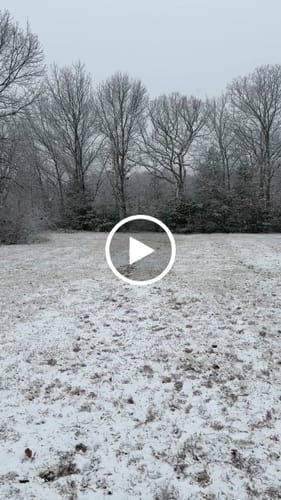 Customer video review of NEW Upgraded Tactical No-Pull Team K9™ Dog Harness with 4 Quick-Release Metal Buckles, Reinforced Front & Back D-Rings, Hook & Loop Panels, Adjustable Straps, Reflective Strips, & Top Handle