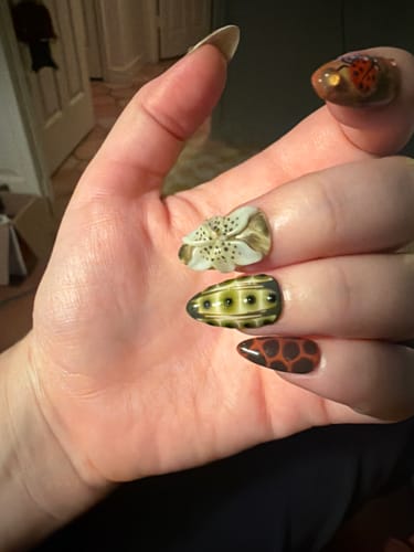 Customer photo review of Moss & Magic