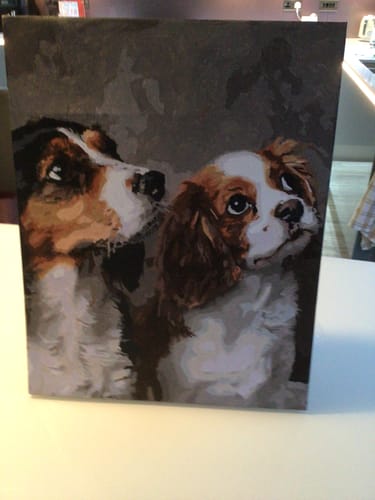 Customer photo review of Custom Paint By Numbers Kit