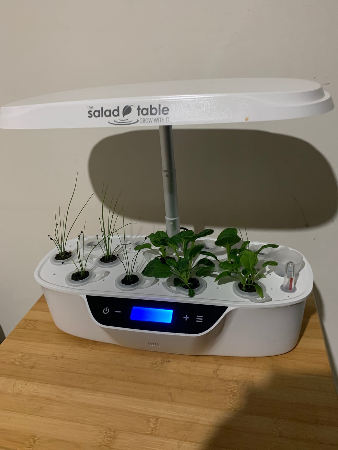 Customer photo review of The Kitchen Garden
