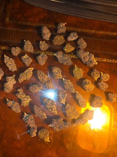 Customer photo review of Shipping Protection by Route