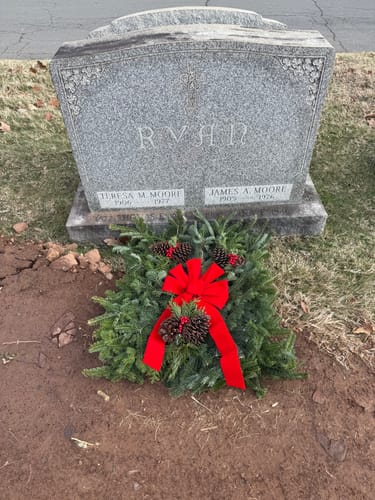 Customer photo review of Fresh Natural Christmas Grave Blanket