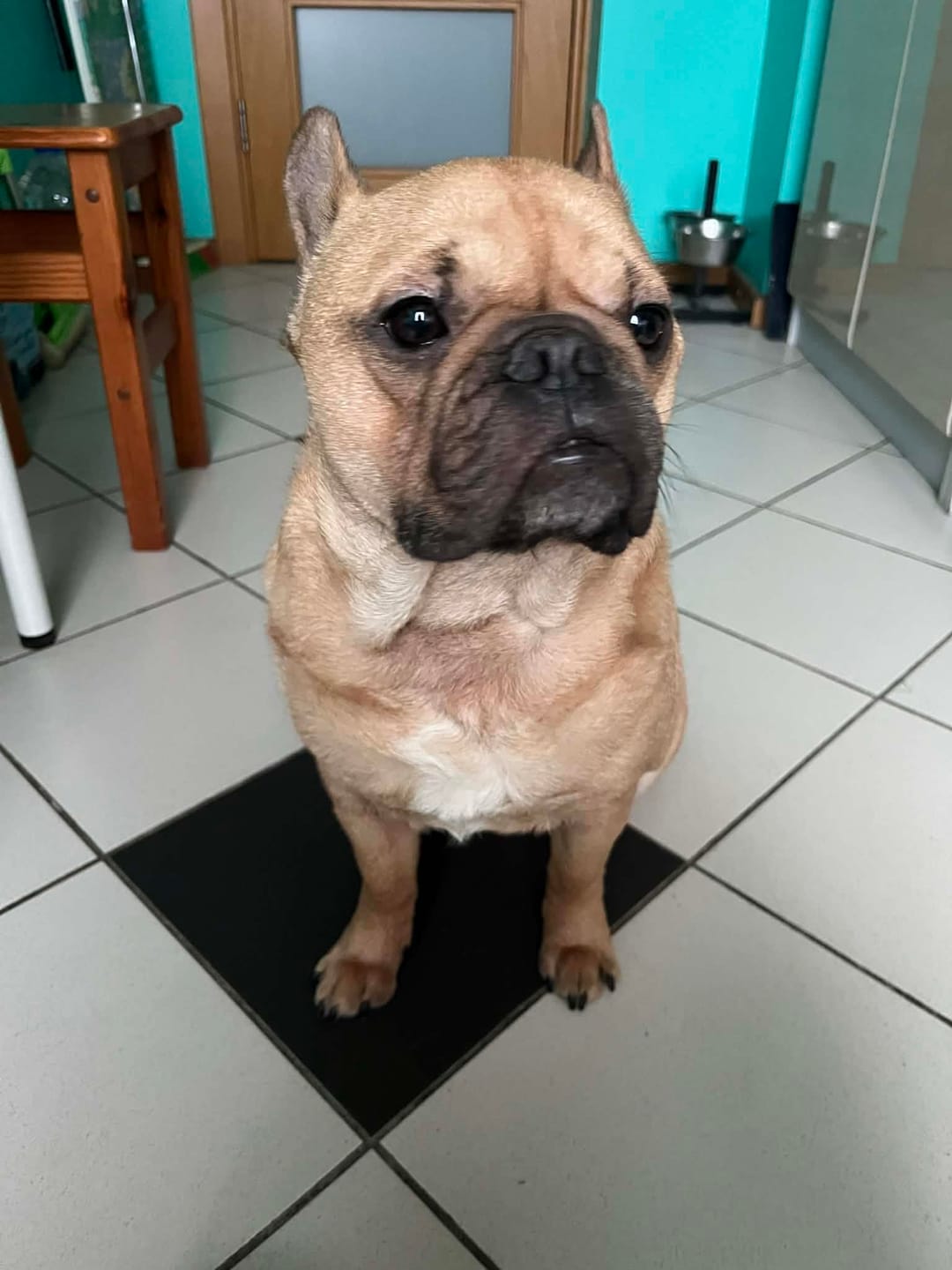 Customer photo review of Pasūtījuma sagatavošana