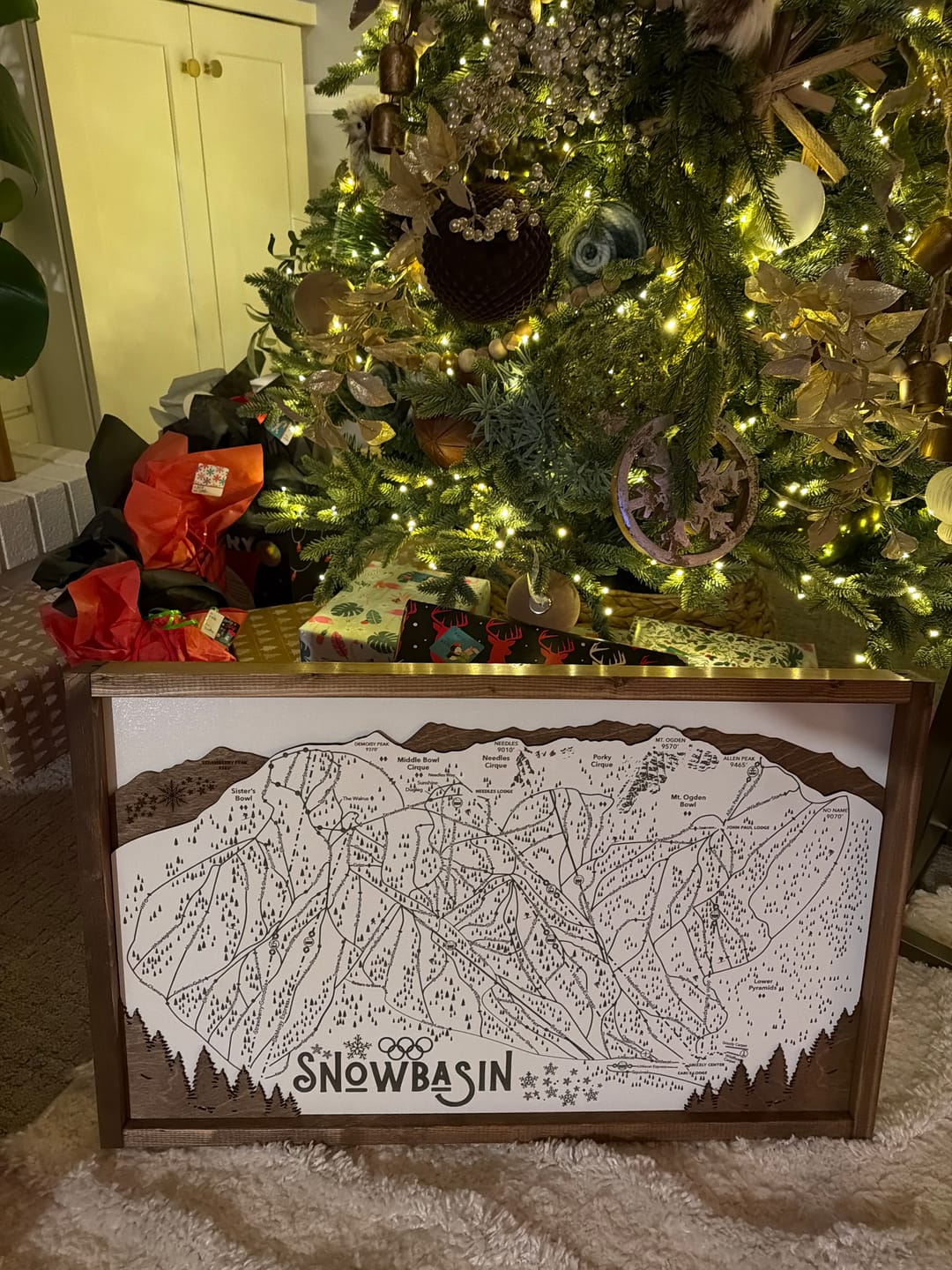 Customer photo review of Snowbasin Ski Resort Map Sign | Laser Engraved & Framed Wall Art
