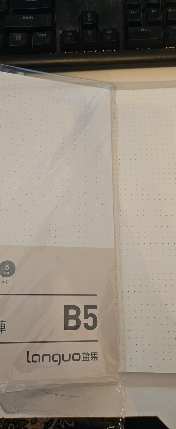 Customer photo review of Languo - Pack 50 Hojas para Libretas Anilladas Tipo Binder B5 con Sistema Refill