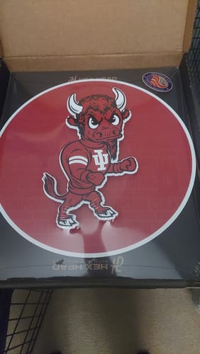Customer's Indiana Hoosiers metal wall art, showing the red embossed mascot design inside the product box.