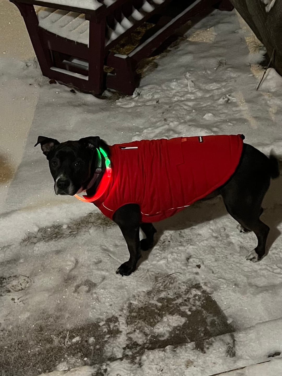 Customer photo review of WarmShield Water-Resistant Jacket - Cosmic