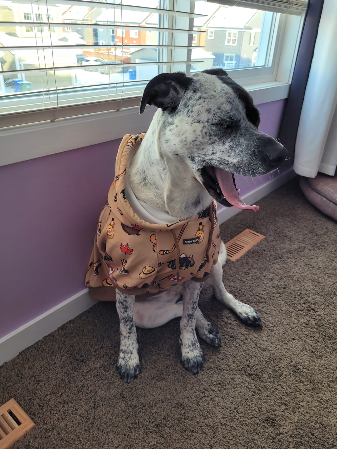Customer photo review of Canada Dog Hoodie