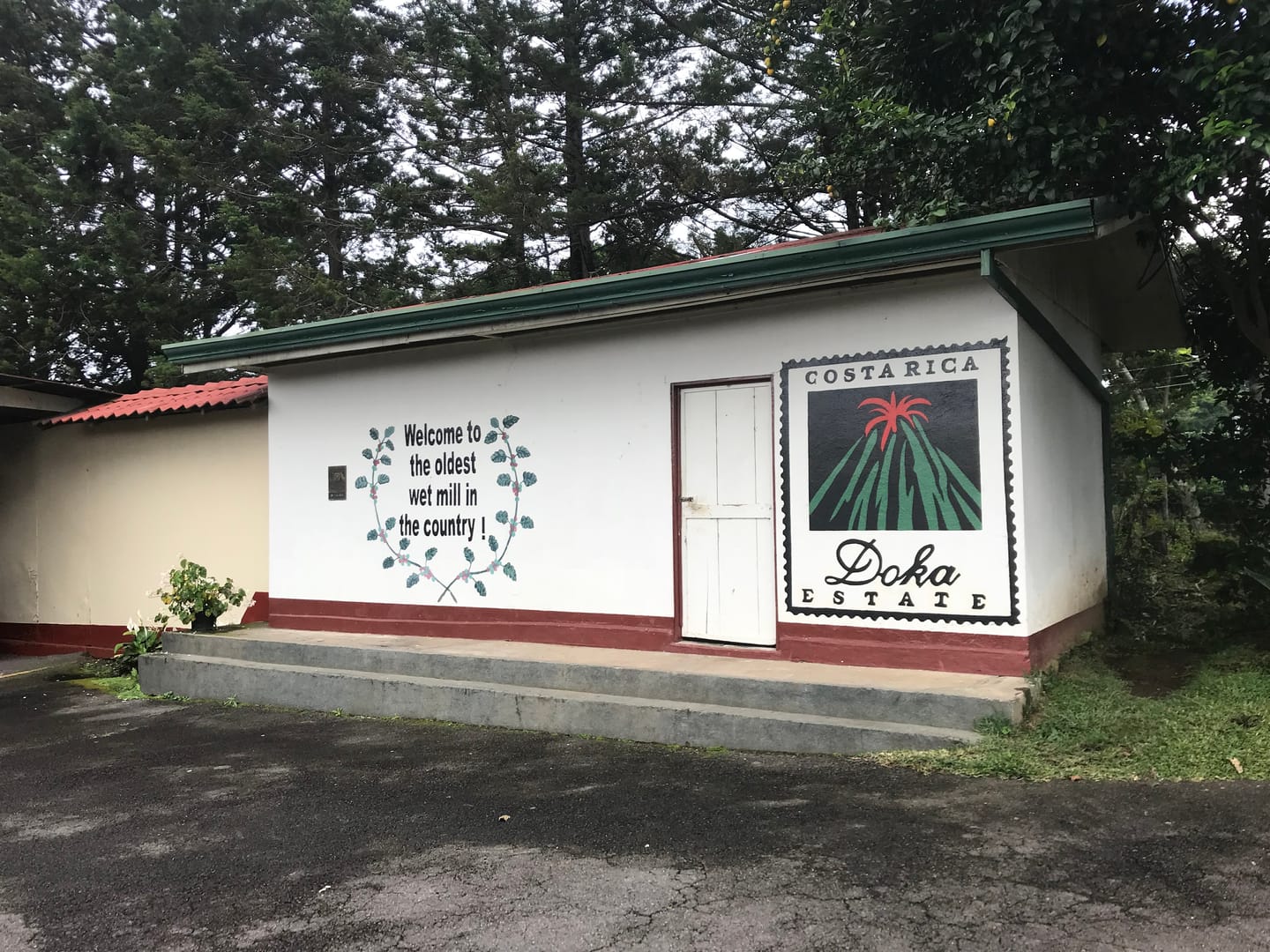 Customer photo review of Café Hacienda Doka Peaberry AA