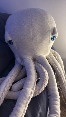 Customer photo review of The Octopus