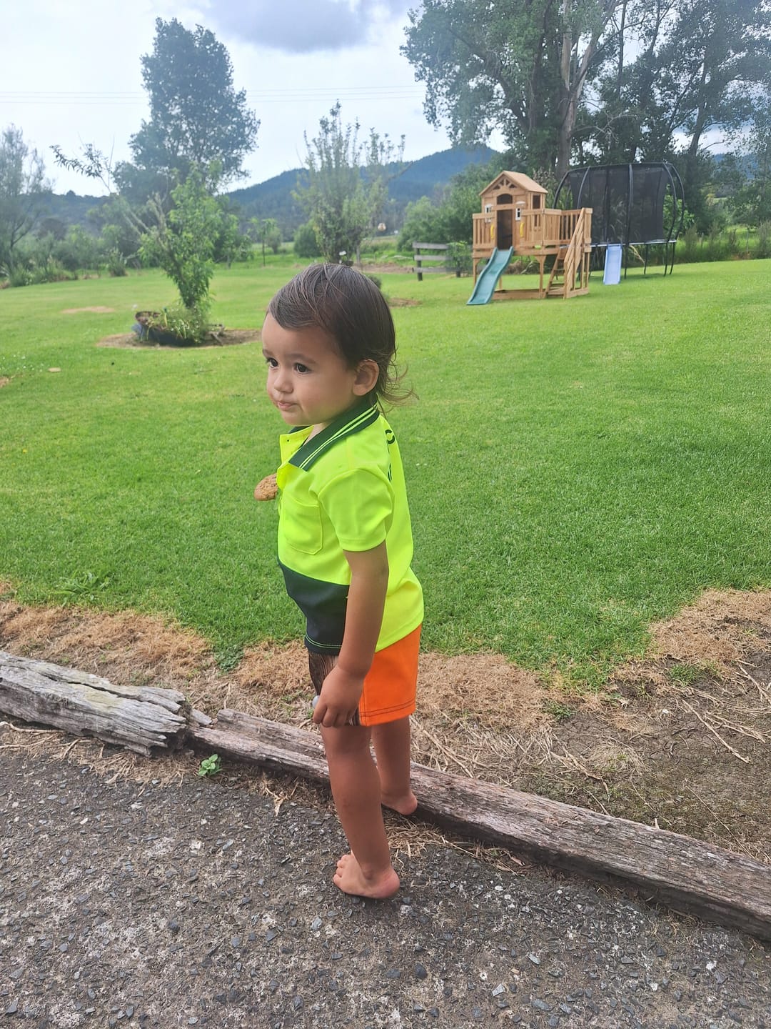 Customer photo review of Lookout Landing Playhouse