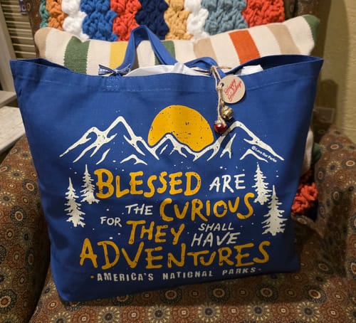 Customer's blue Blessed Are The Curious tote bag with a gift tag, sitting on an armchair.
