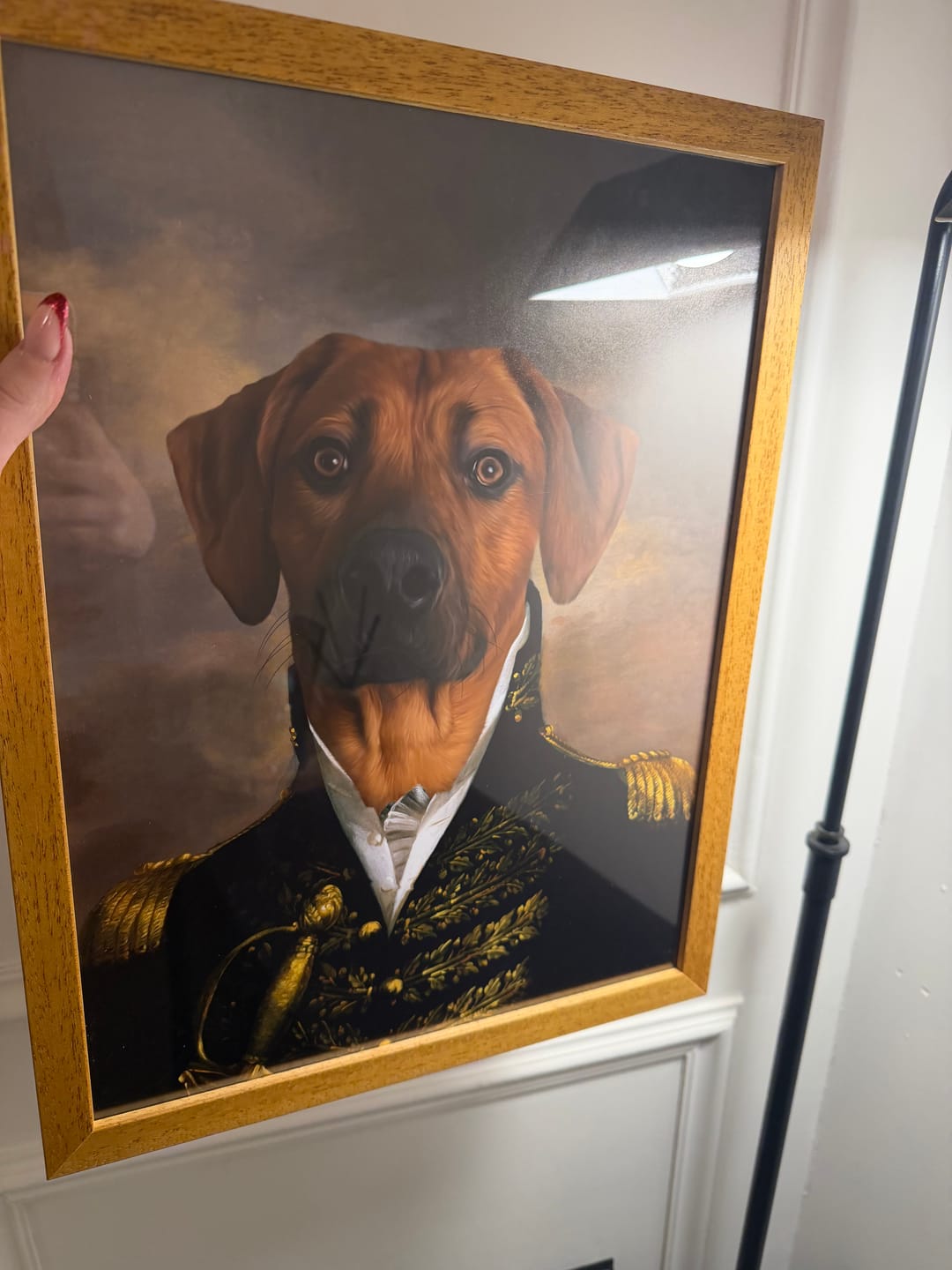 Customer photo review of The General: Custom Pet Portrait
