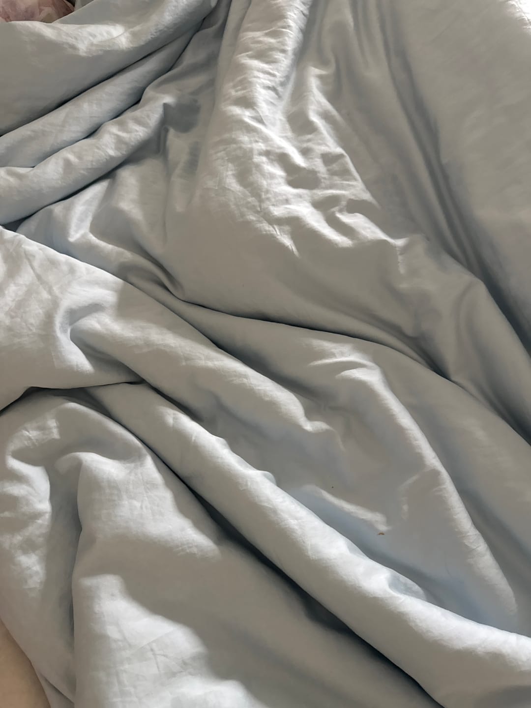 Customer photo review of Mulberry Silk Comforter Insert