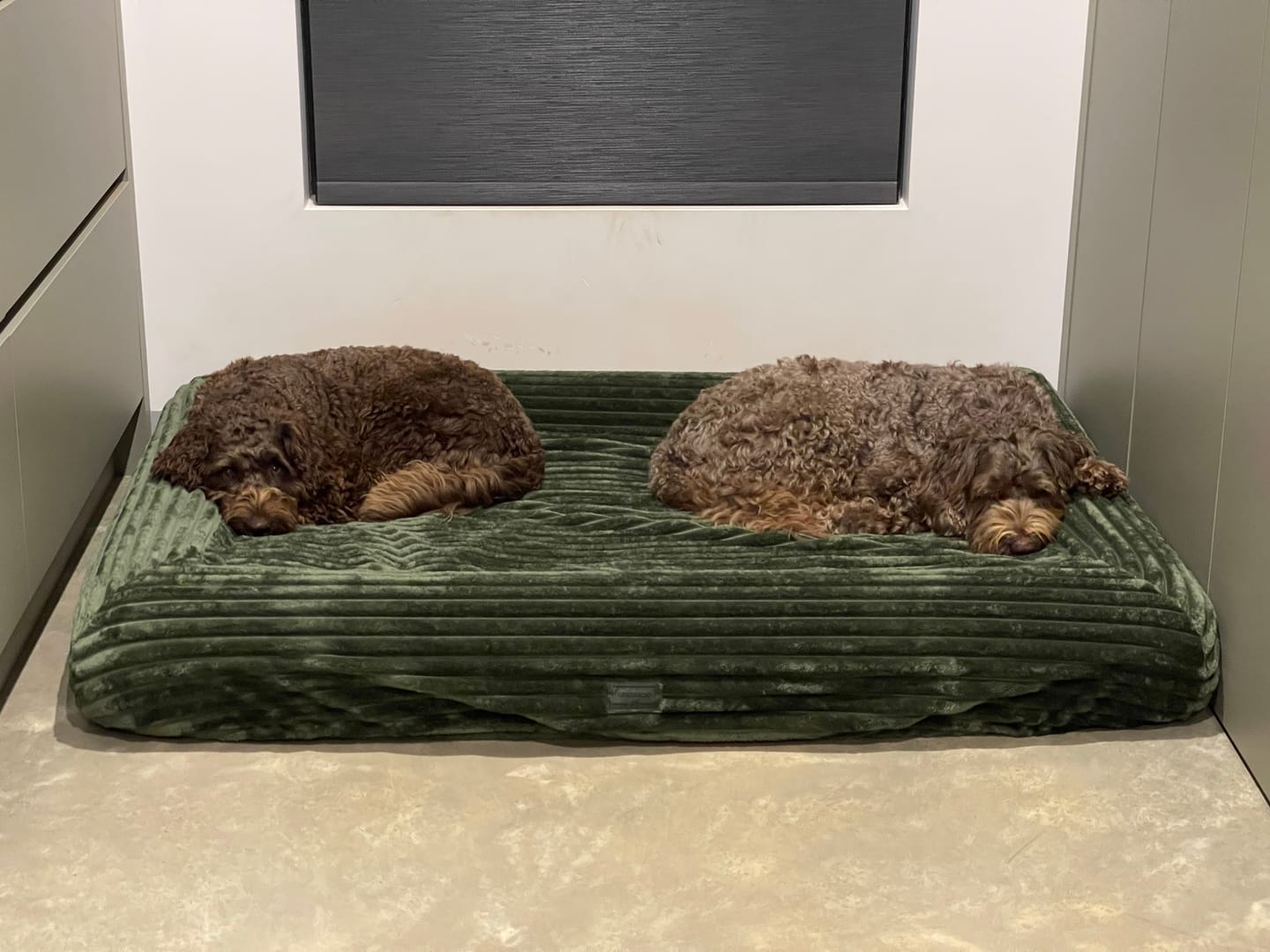 Customer photo review of Dune Plush EasyFit Cover