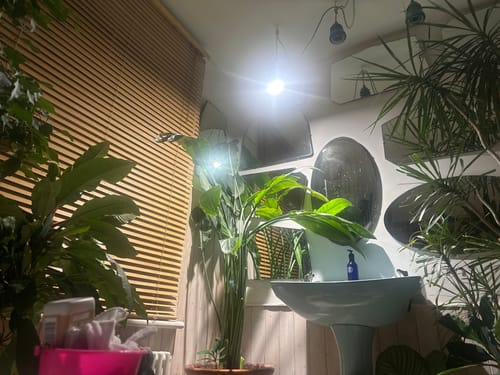 Customer photo review of Pianta Grow Light LED Bulb