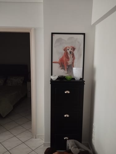 Customer photo review of Πορτραίτο Κατοικίδιου - Νερομπογιά