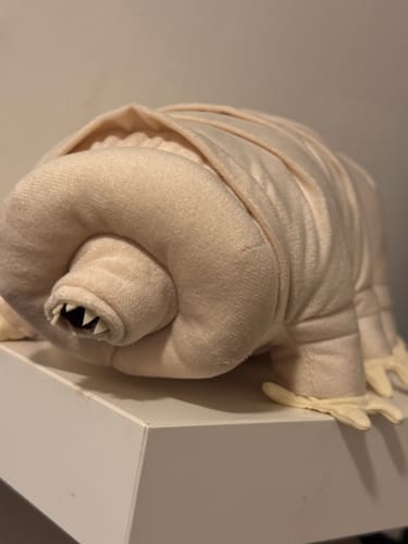 Customer photo review of Tardigrade Water Bear Soft Stuffed Plush Toy