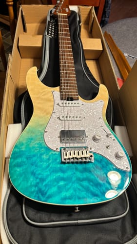 Customer photo review of Donner DST-550 Electric Guitar