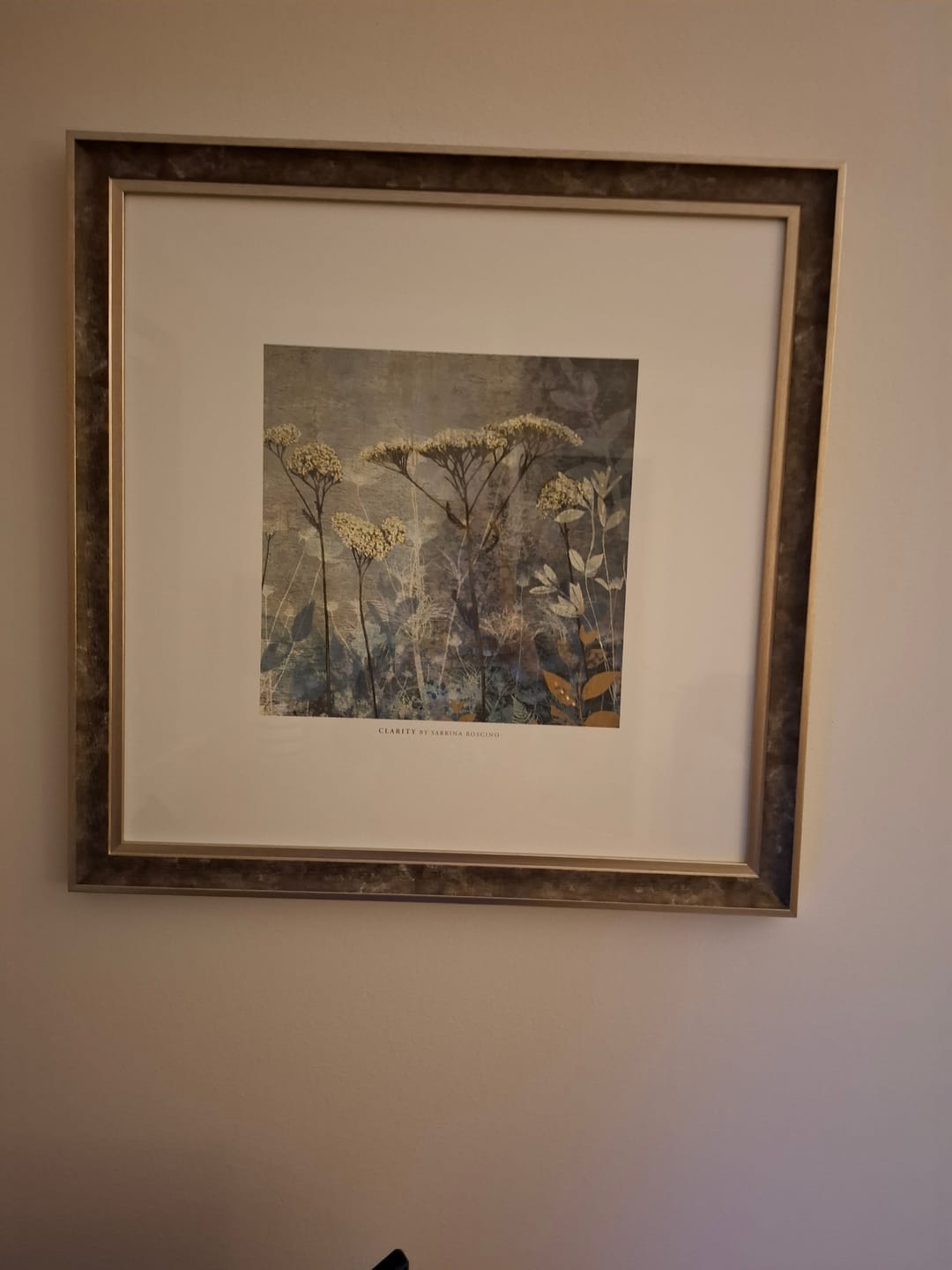 Customer photo review of Clarity By Sabrina Roscino