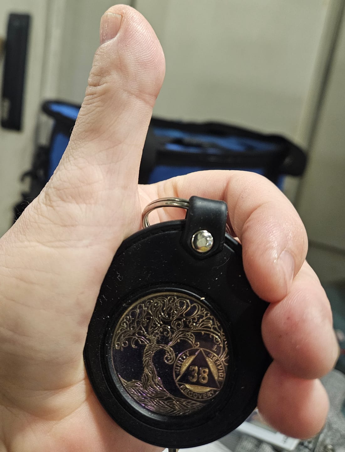 Customer photo review of 1 to 50 Year Sobriety Mint Twisted Tree of Life Gold Plated AA Recovery Medallion/Chip/Coin - Purple