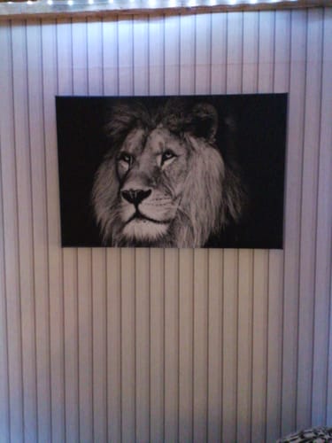 Customer photo review of Leinwandbild Löwen Portrait schwarz weiß Querformat
