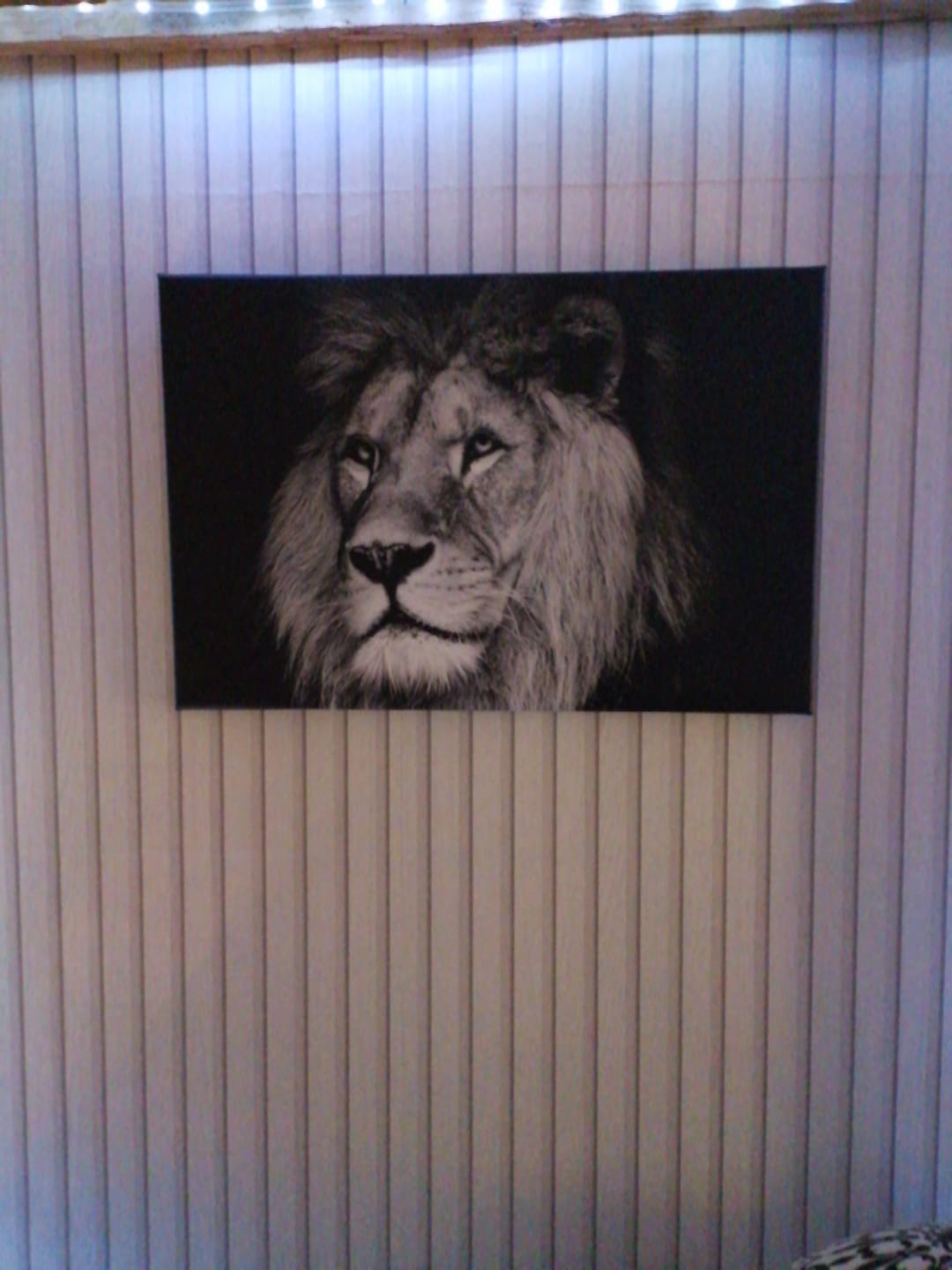 Customer photo review of Leinwandbild Löwen Portrait schwarz weiß Querformat