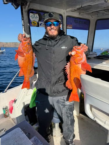 Customer photo review of Ultimate Waterproof Pants (Fleece Lined) 10,000 mm Rated