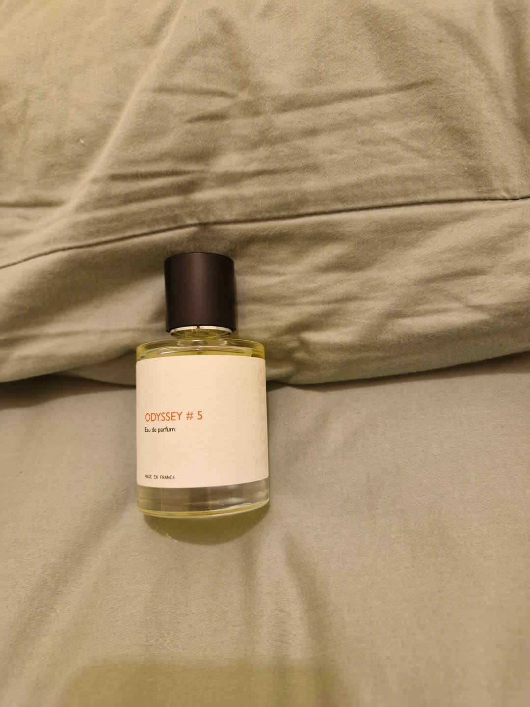 Customer photo review of Odyssey #5