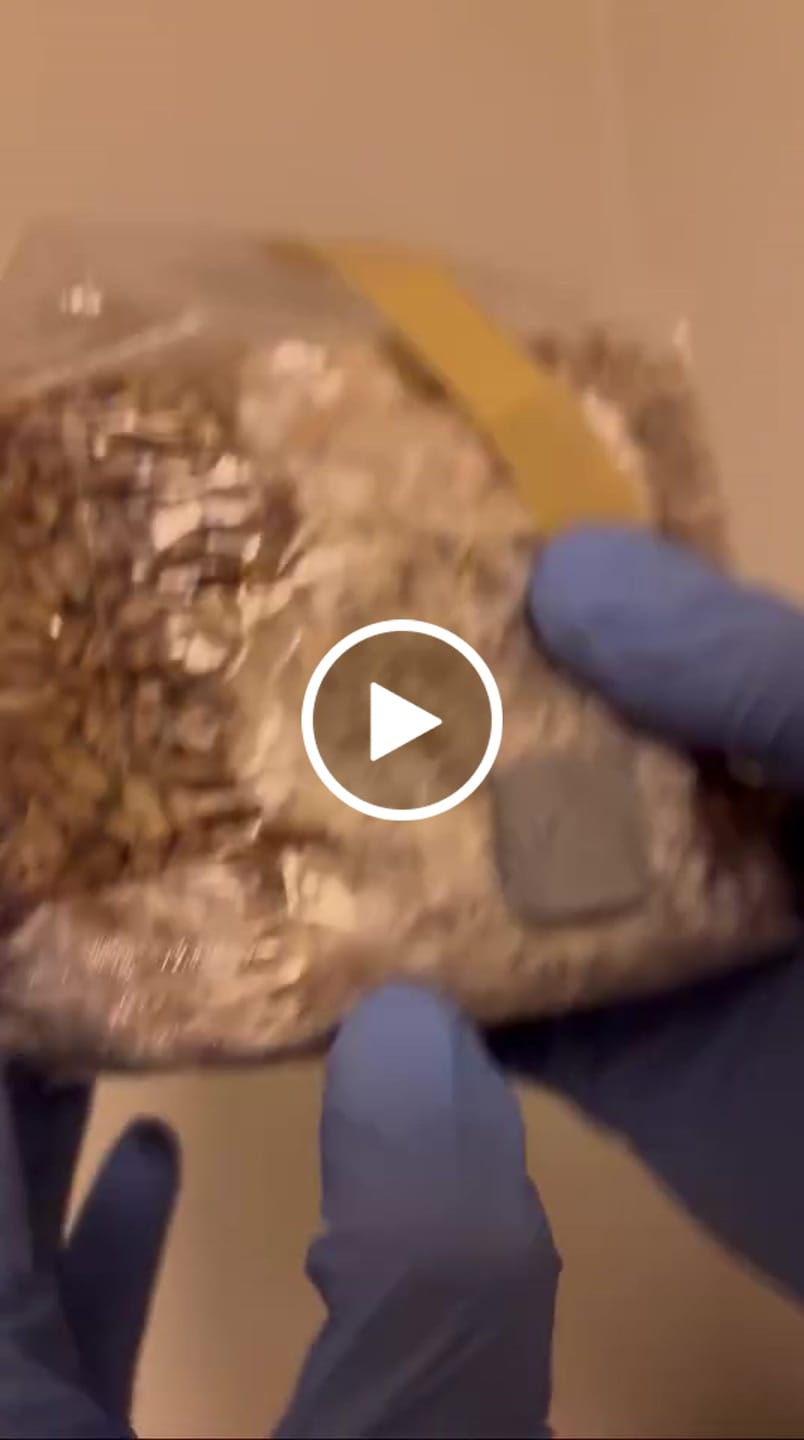 Customer video review of Recarga de Cultivo 160g