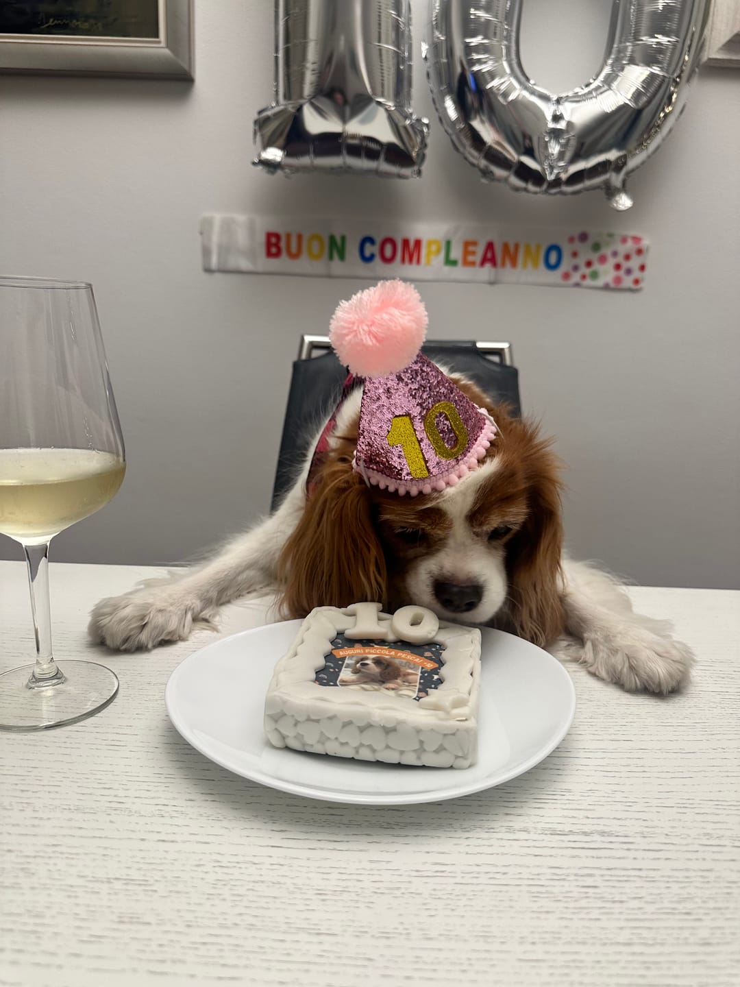 Customer photo review of Fotogenica 2 Torta Per Cani con Fotografia e Messaggio