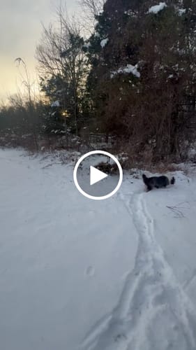 Customer video review of Freedom Joint Drops