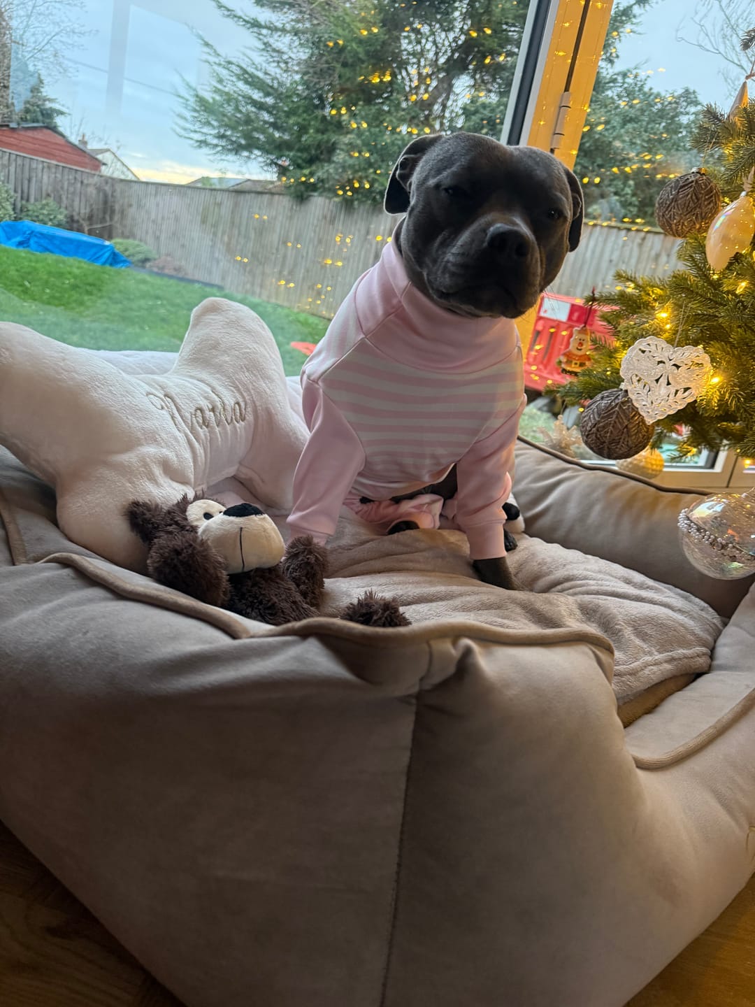 Customer photo review of Dog Pajama - Pink Stripes