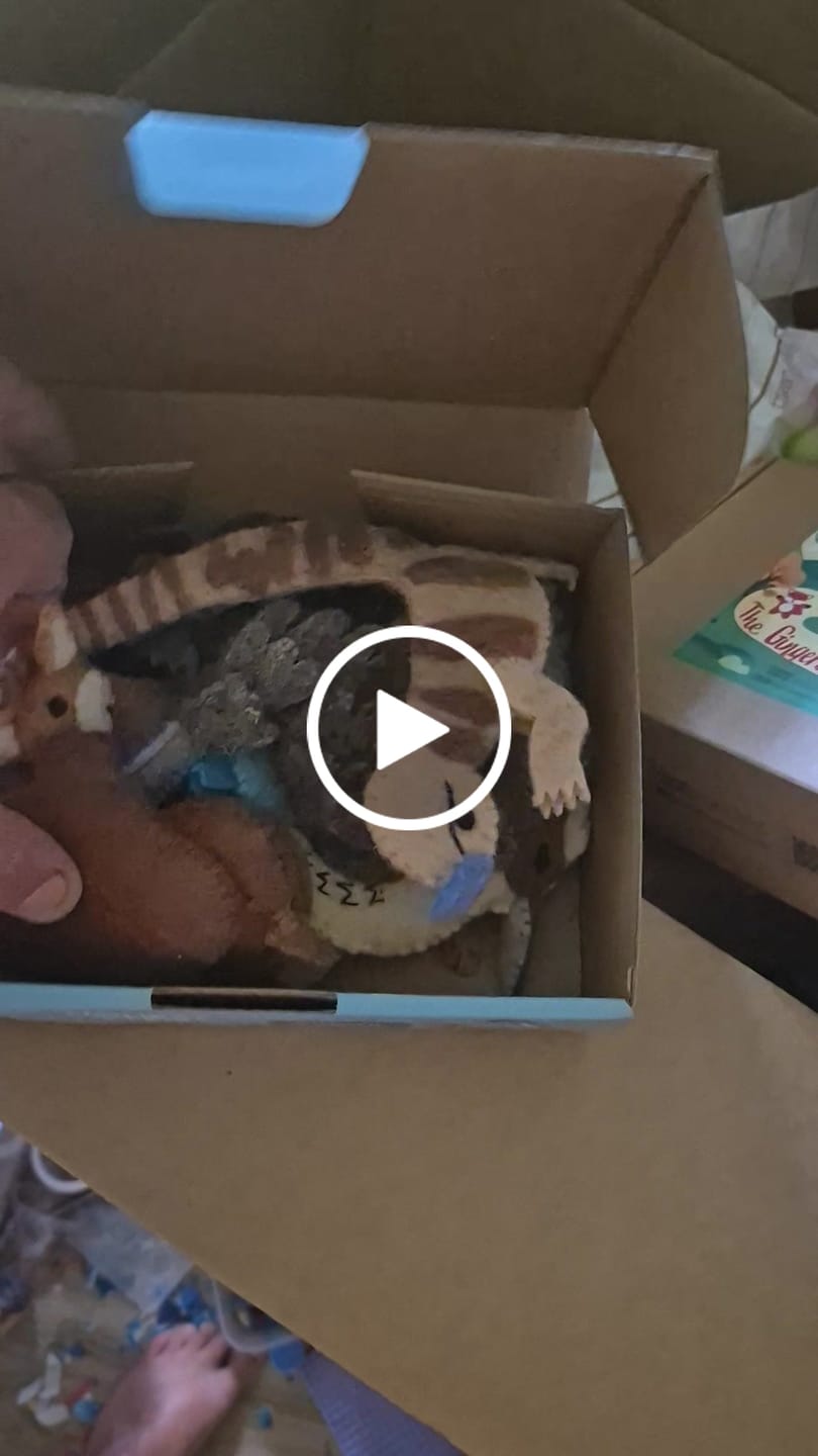 Customer video review of Wombat Stew Finger Puppets Set (Official Scholastic Australia Licensed)