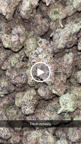Customer video review of Dank Dynasty Exotic THCA Flower